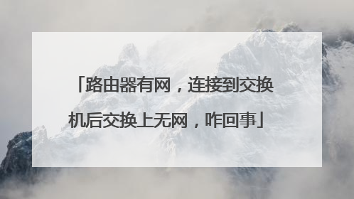 路由器有网,连接到交换机后交换上无网,咋回事