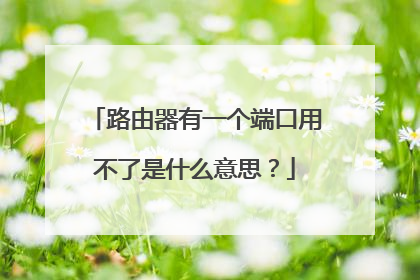 路由器有一个端口用不了是什么意思？