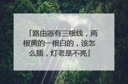 路由器有三根线,两根黄的一根白的,该怎么插,灯老是不亮