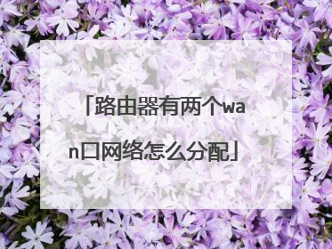 路由器有两个wan口网络怎么分配