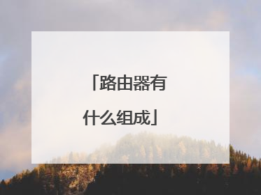 路由器有什么组成