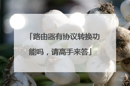 路由器有协议转换功能吗，请高手来答