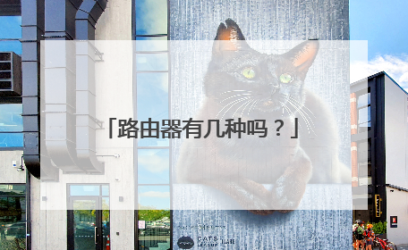 路由器有几种吗？