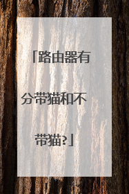 路由器有分带猫和不带猫?