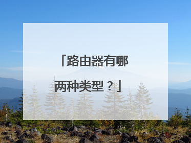 路由器有哪两种类型?