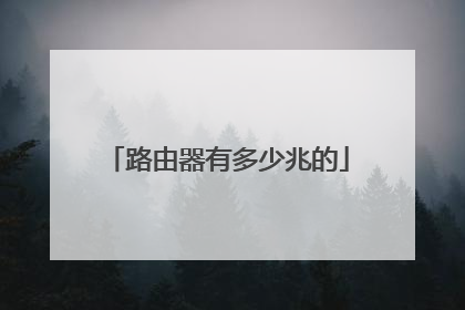 路由器有多少兆的