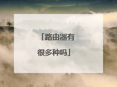 路由器有很多种吗