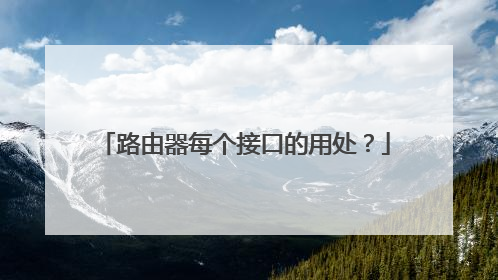 路由器每个接口的用处?