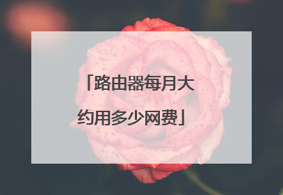 路由器每月大约用多少网费