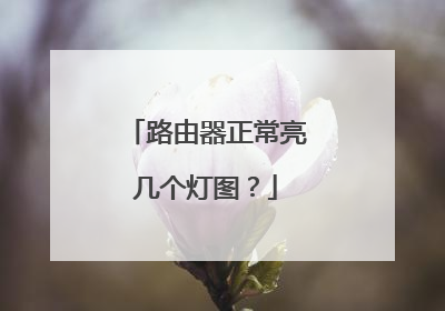 路由器正常亮几个灯图？