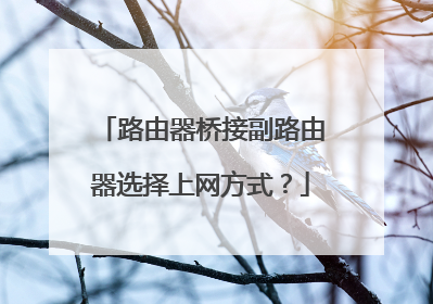 路由器桥接副路由器选择上网方式？