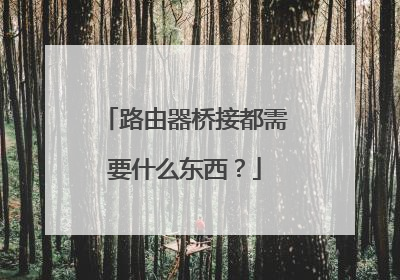 路由器桥接都需要什么东西？
