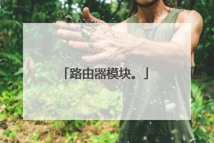 路由器模块。