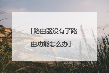 路由器没有了路由功能怎么办