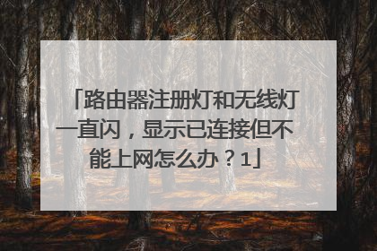 路由器注册灯和无线灯一直闪,显示已连接但不能上网怎么办?1