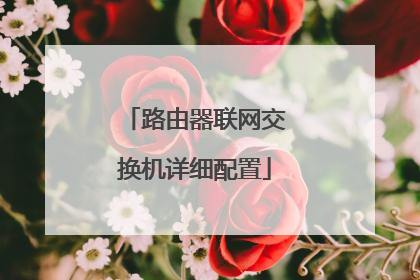 路由器联网交换机详细配置