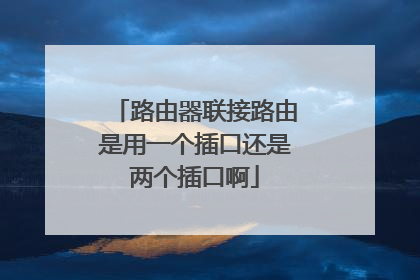 路由器联接路由是用一个插口还是两个插口啊