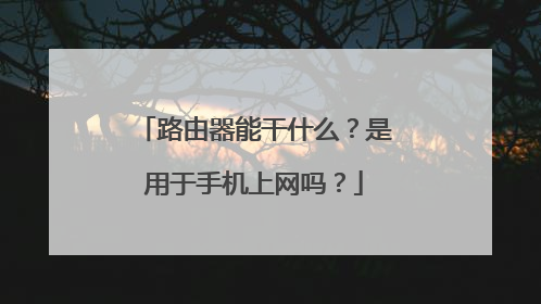 路由器能干什么？是用于手机上网吗？