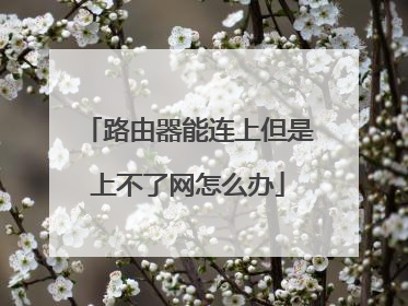 路由器能连上但是上不了网怎么办