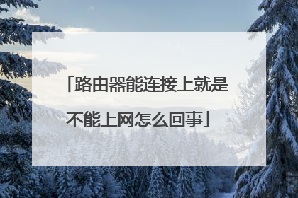 路由器能连接上就是不能上网怎么回事