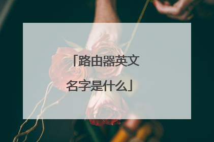 路由器英文名字是什么