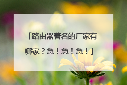 路由器著名的厂家有哪家？急！急！急！
