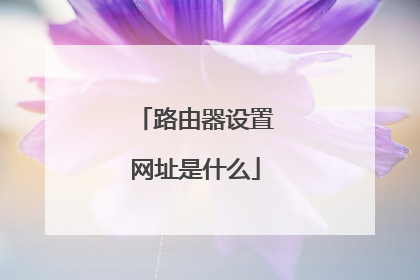 路由器设置网址是什么