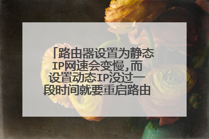 路由器设置为静态IP网速会变慢,而设置动态IP没过一段时间就要重启路由器。如何解决啊?