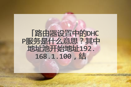 路由器设置中的DHCP服务是什么意思?其中地址池开始地址192.168.1.100,结束地址192.168.1.199什么意思?