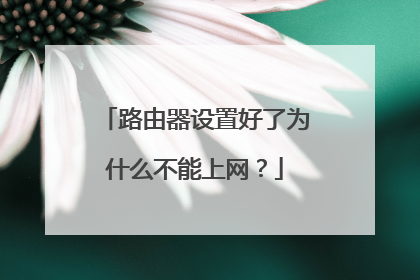 路由器设置好了为什么不能上网?