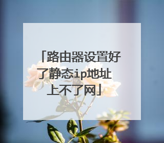 路由器设置好了静态ip地址上不了网
