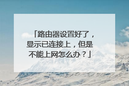 路由器设置好了,显示已连接上,但是不能上网怎么办?