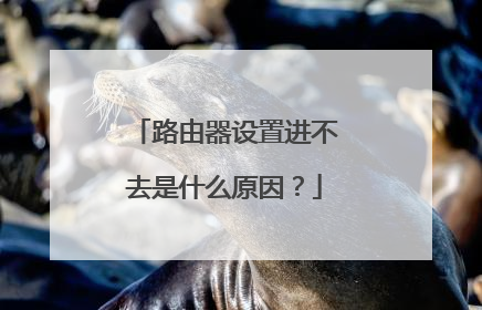 路由器设置进不去是什么原因？
