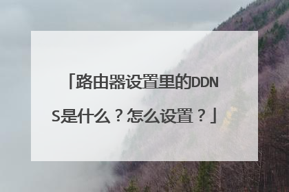 路由器设置里的DDNS是什么?怎么设置?