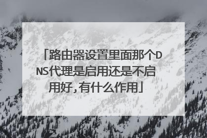 路由器设置里面那个DNS代理是启用还是不启用好,有什么作用