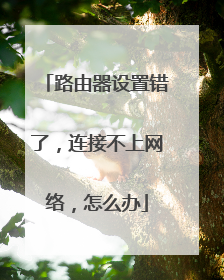 路由器设置错了，连接不上网络，怎么办
