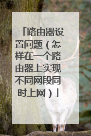 路由器设置问题（怎样在一个路由器上实现不同网段同时上网）