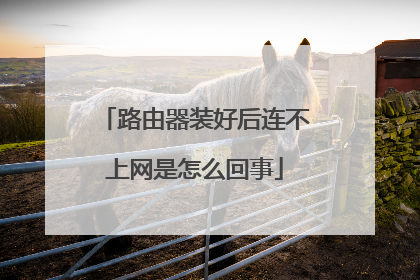 路由器装好后连不上网是怎么回事