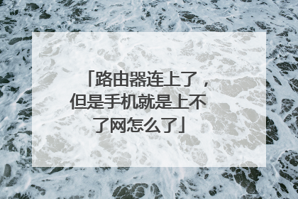 路由器连上了,但是手机就是上不了网怎么了