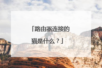 路由器连接的猫是什么？