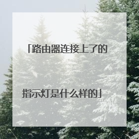 路由器连接上了的指示灯是什么样的