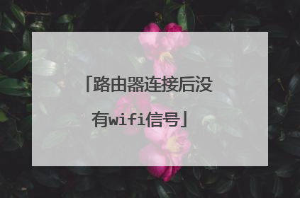路由器连接后没有wifi信号
