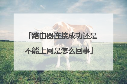 路由器连接成功还是不能上网是怎么回事