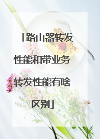 路由器转发性能和带业务转发性能有啥区别