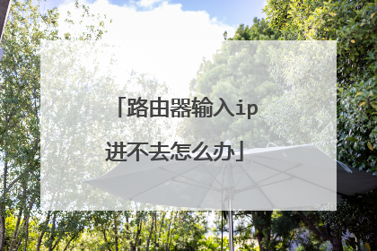 路由器输入ip进不去怎么办