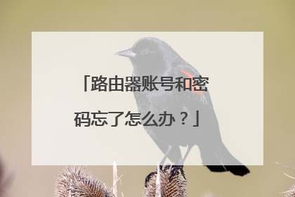 路由器账号和密码忘了怎么办？