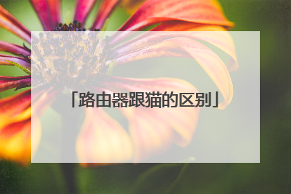 路由器跟猫的区别