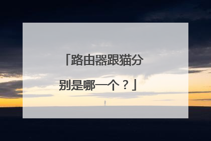 路由器跟猫分别是哪一个？