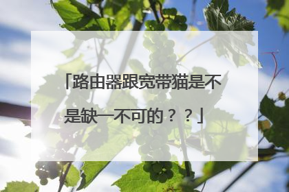 路由器跟宽带猫是不是缺一不可的？？