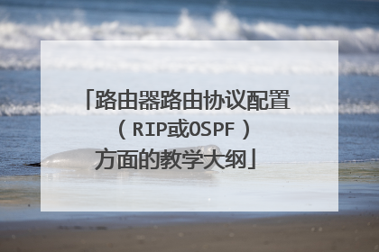 路由器路由协议配置(RIP或OSPF)方面的教学大纲